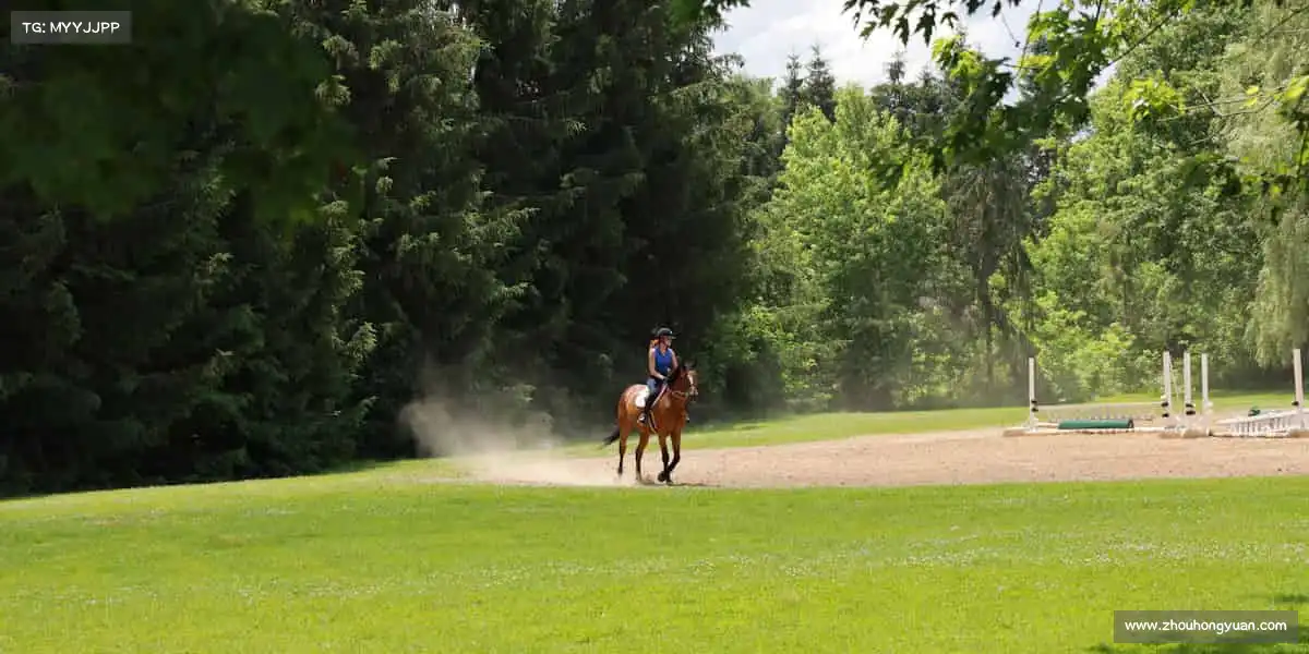 我们的品牌价值